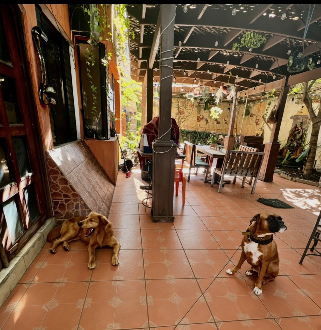 Mascotas compartiendo en La Cabaña del Cachorro